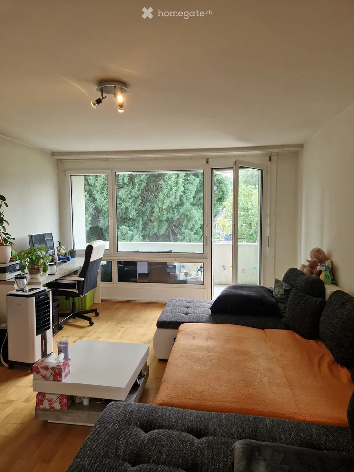 Gemütliche 2-Zimmer-Wohnung mit Balkon in Effretikon