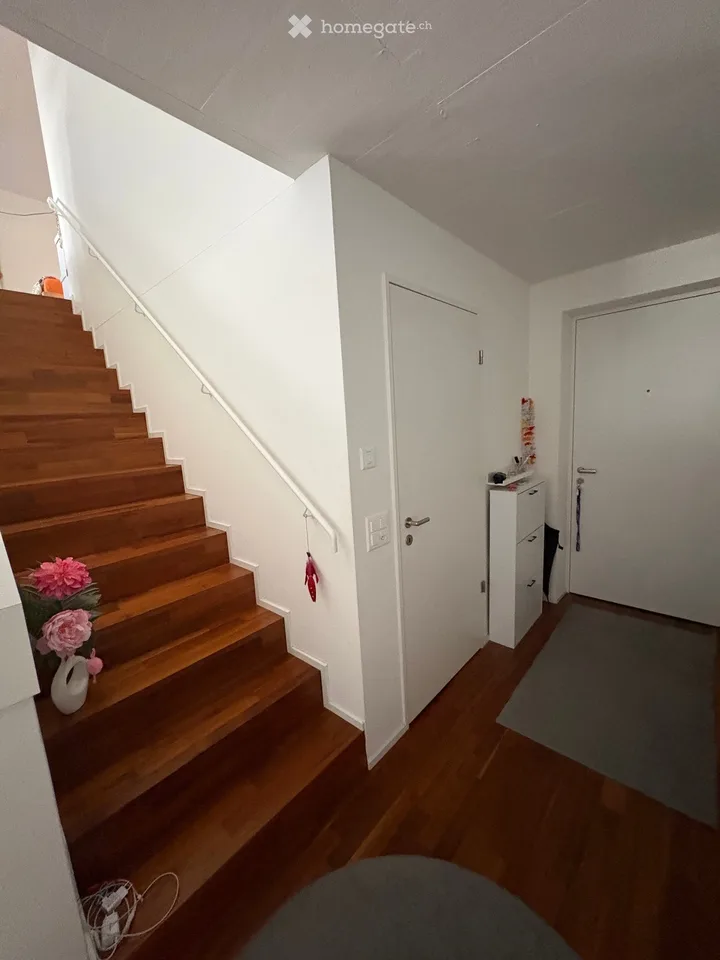 WG Zimmer Wohnung