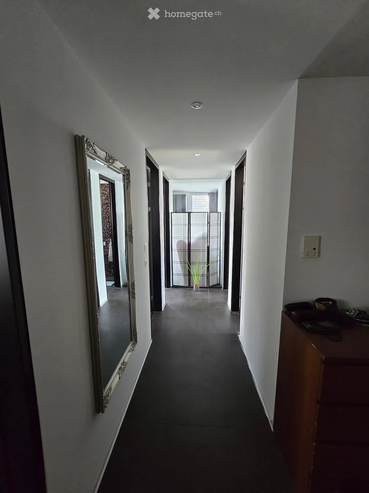 Moderne 4.5-Zimmer-Duplexwohnung mit grosser Terrasse