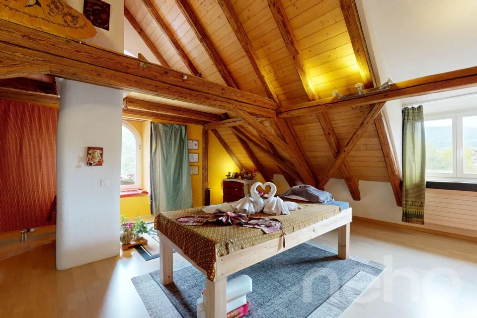Historisches 4-Familienhaus an der Surb mit Garten & Cheminéehaus