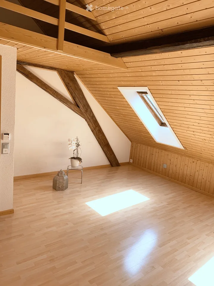 Charmant appartement mansardé proche de la nature