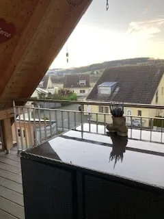 Charmante 4-Zimmer-Dachgeschosswohnung in Kefikon ZH mit sehr schöner Aussicht