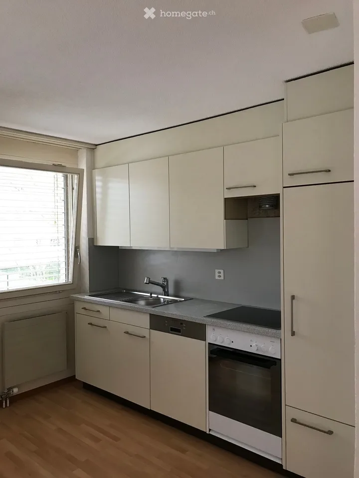Helle 4 Zimmer Galerie Wohnung in Bern Ost, Agglomeration