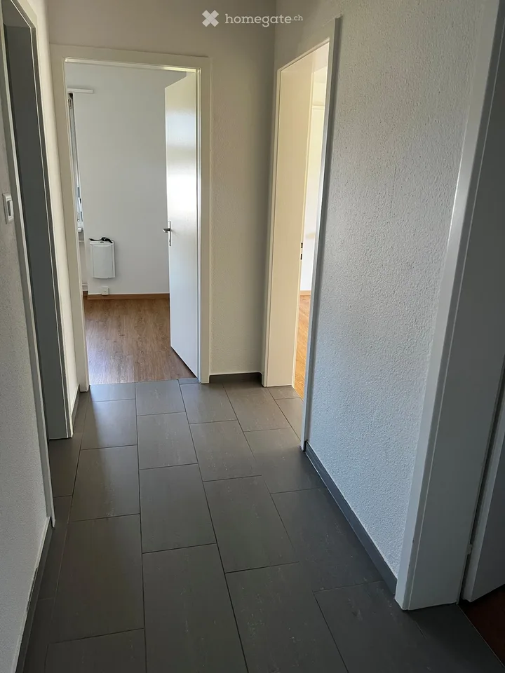 Appartamento 2 locali in affitto a Höri