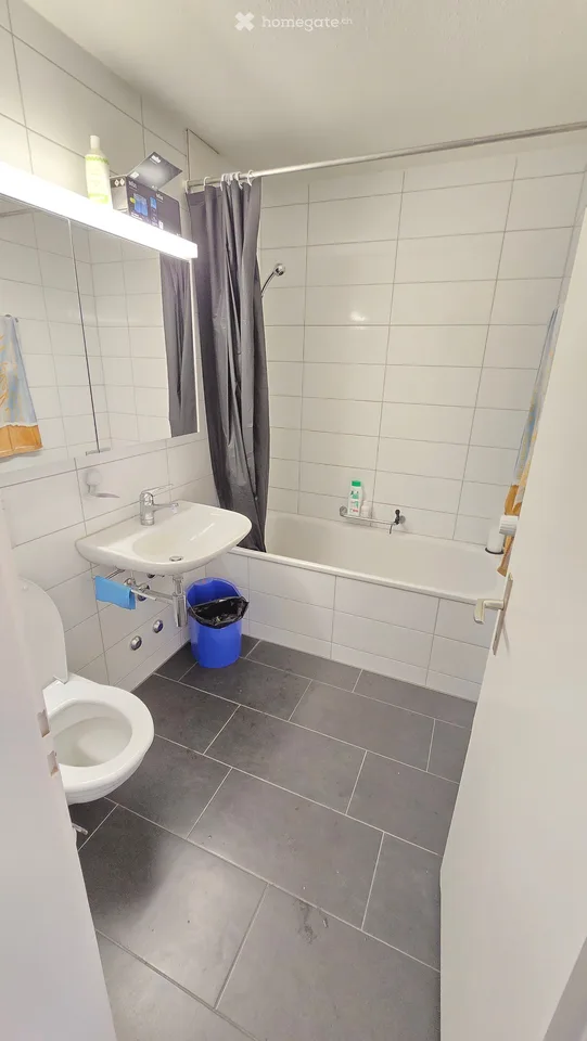 Gemütliche 2.5-Zimmer-Wohnung mit Balkon in Henggart
