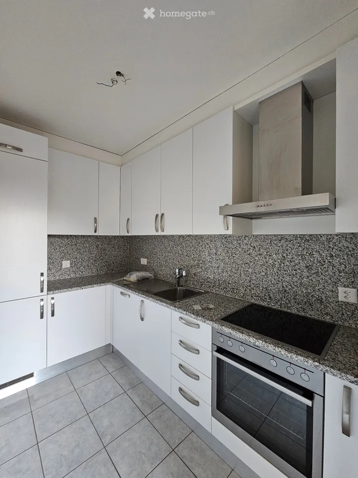 Helles 3.5-Zimmer-Lake-Wohnung