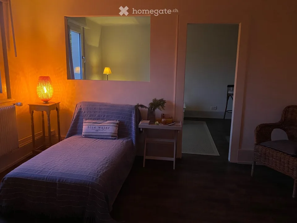 Möblierte 3 Zi-Wohnung in Olten zu vermieten