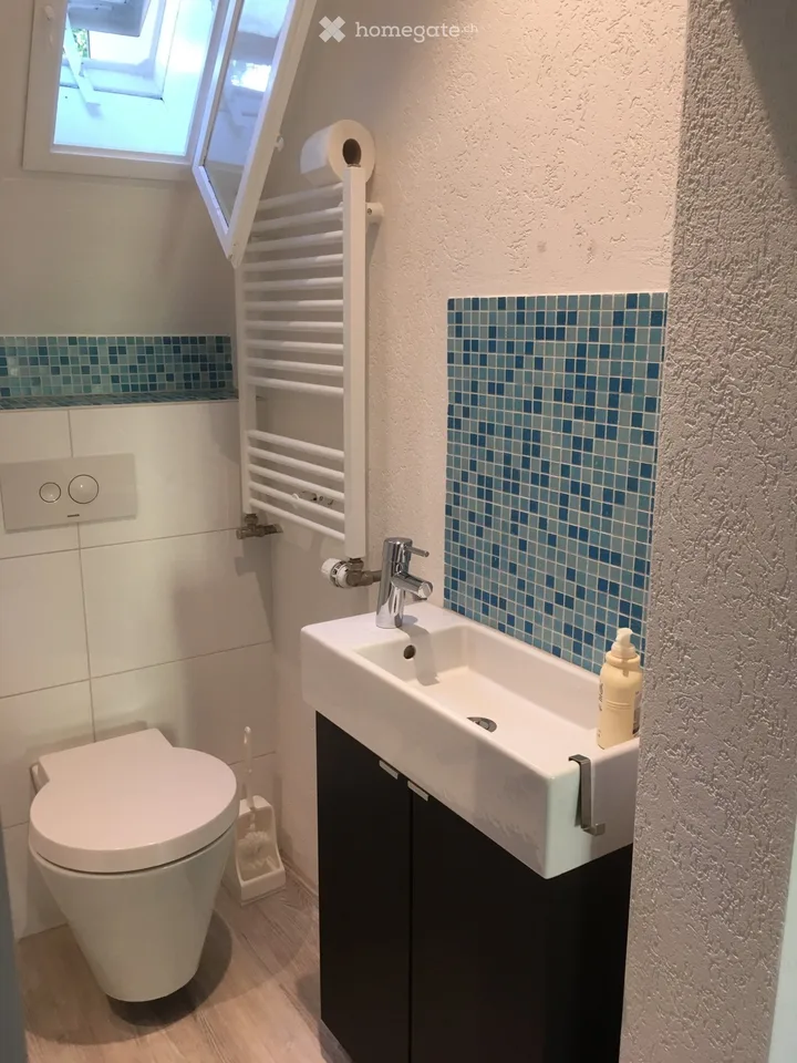 Möblierte 3 Zi-Wohnung in Olten zu vermieten