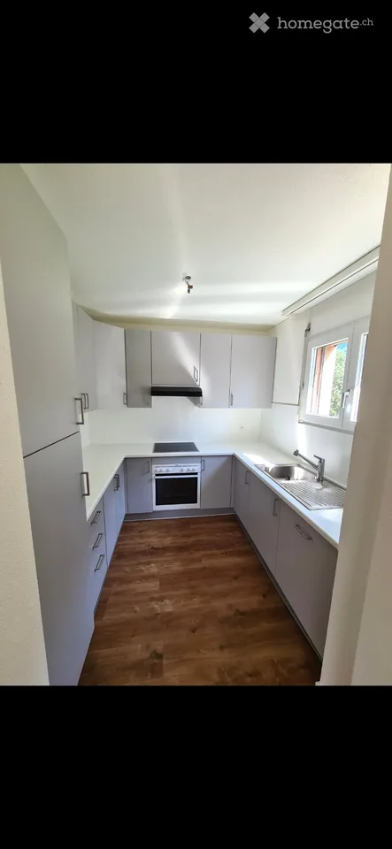 Biasca - 3.5 rooms accurately renovated from 1.11.