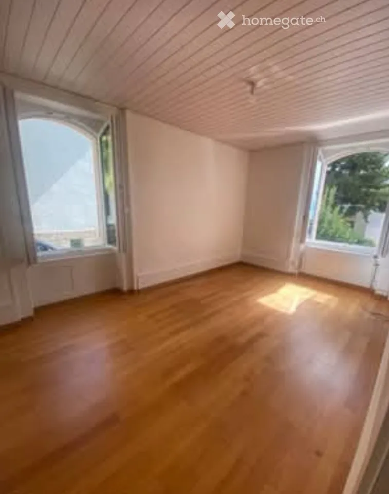 Schönes helles 2.5-Zimmer-Apartment