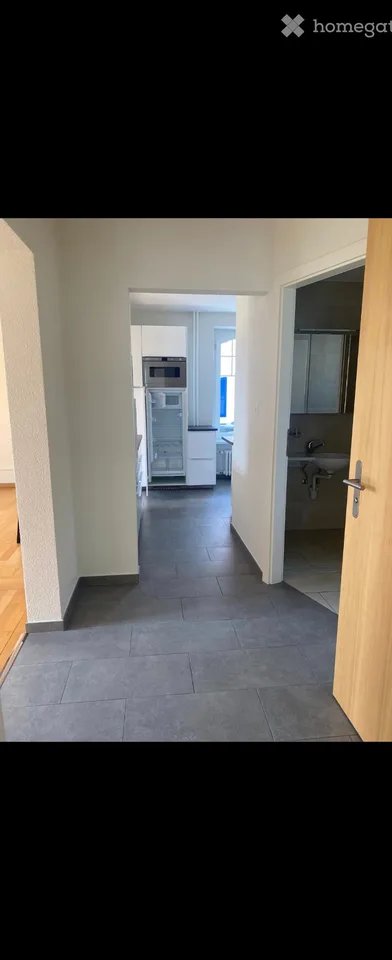 Schönes helles 2.5-Zimmer-Apartment