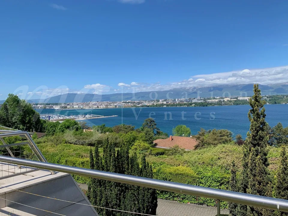 MAISON MODERNE DE 400 m2 hab - VUE PANORAMIQUE A 180 SUR LE LAC - PISCINE - ASCENSEUR