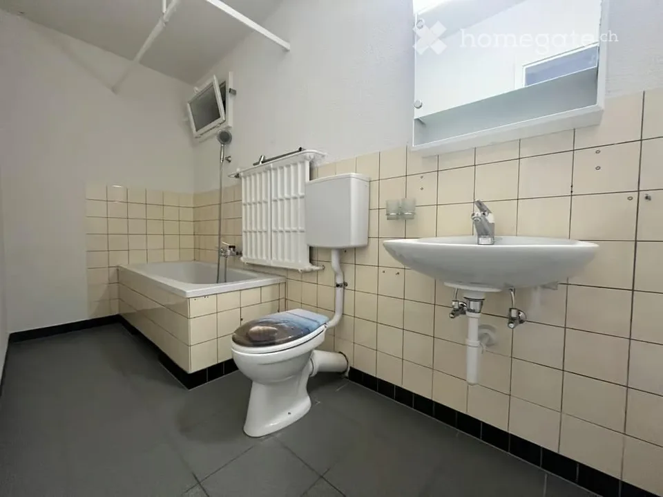 Magnifique appartement de 3 pièces lumineux à louer à Bienne