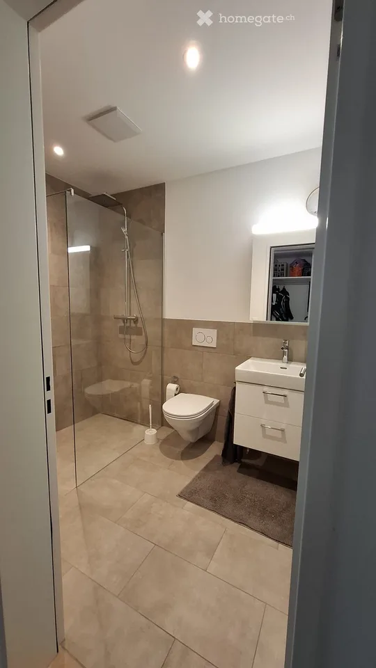 Appartement 3,5 pièces / Deuxième occupation