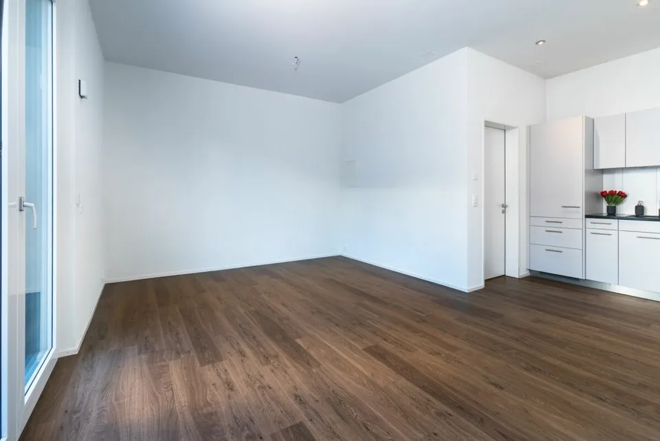 Modern 1.5 room city apartment in Winterthur