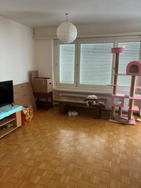 2.0 camere da letto appartamento a Winterthur