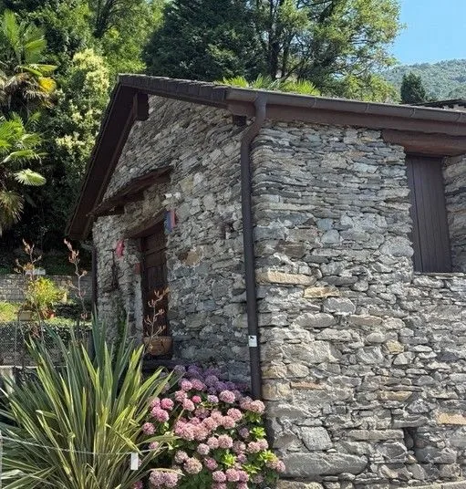 *Rustico con vista sul lago*