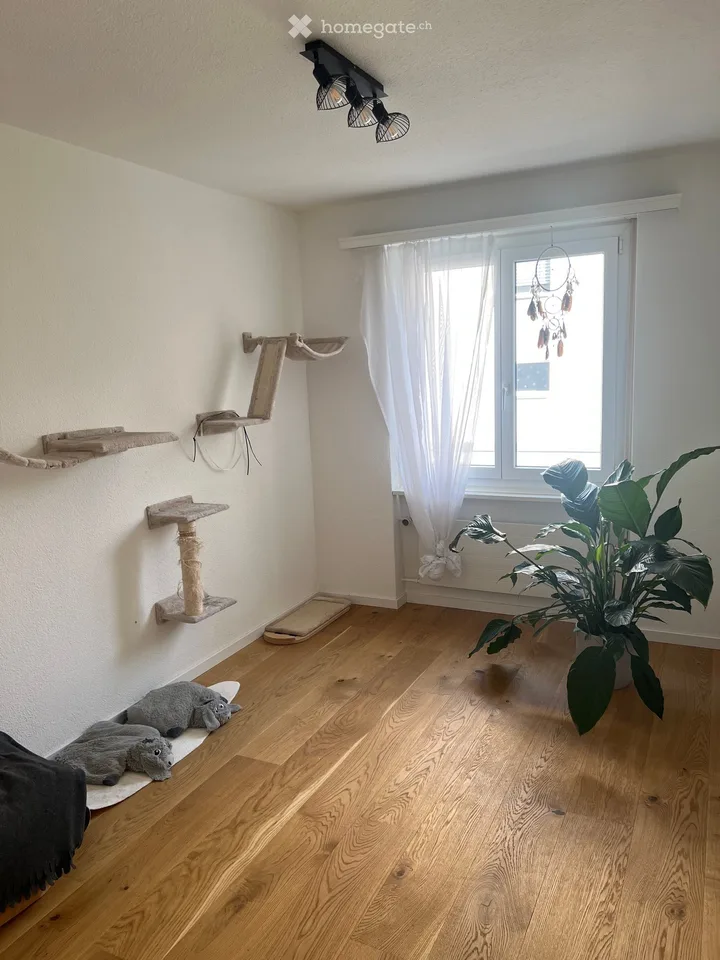Appartamento luminoso 4.5 locali con balcone a Kriens – ristrutturato in modo moderno!