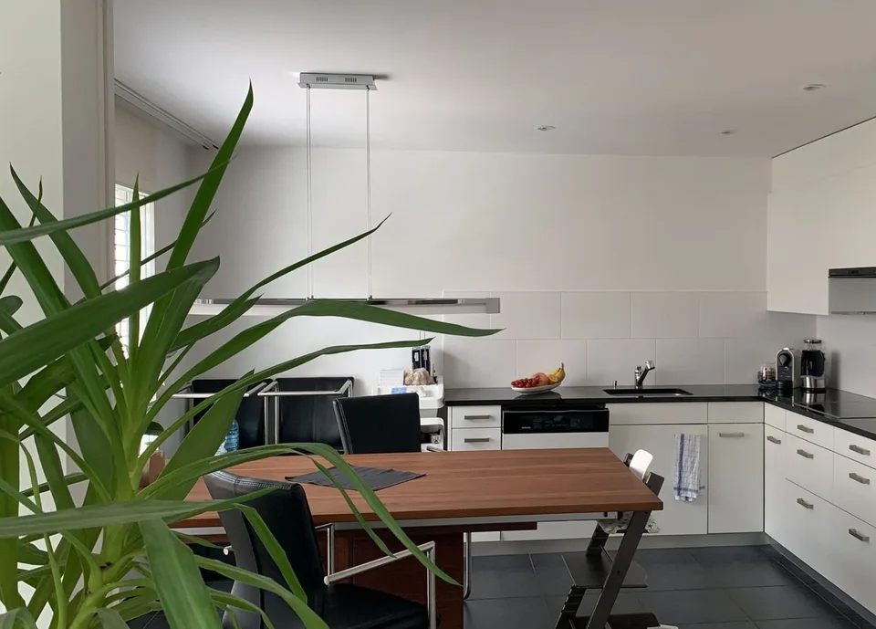 Mint-condition apartment with private laundry room