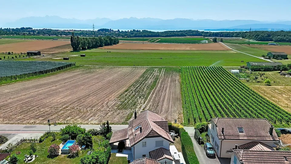 Detached house on the edge of an agricultural area