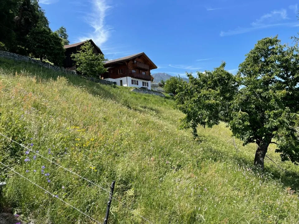 Bauplatz für Familienwohnung