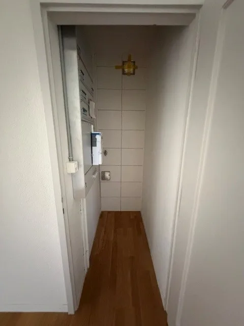 Renovated 4.5 room apartment in Elfenau