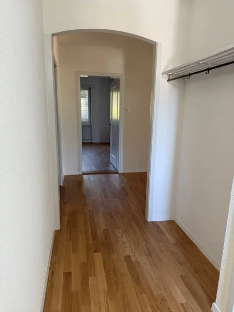 Renovated 4.5 room apartment in Elfenau