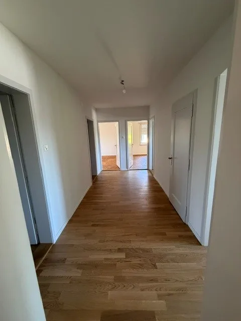 Renovated 4.5 room apartment in Elfenau