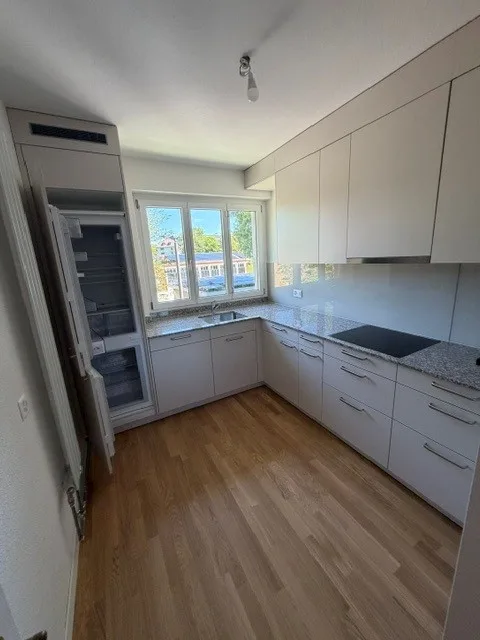 Renovated 4.5 room apartment in Elfenau