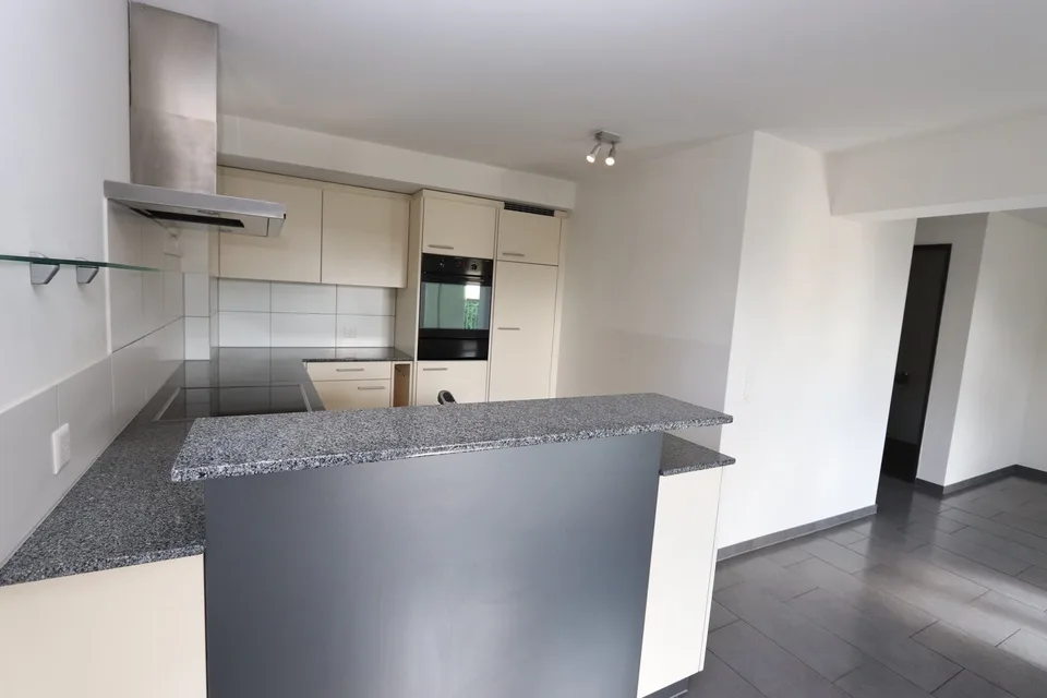 Casa unifamiliare 5.5 locali con ascensore e grande terrazza