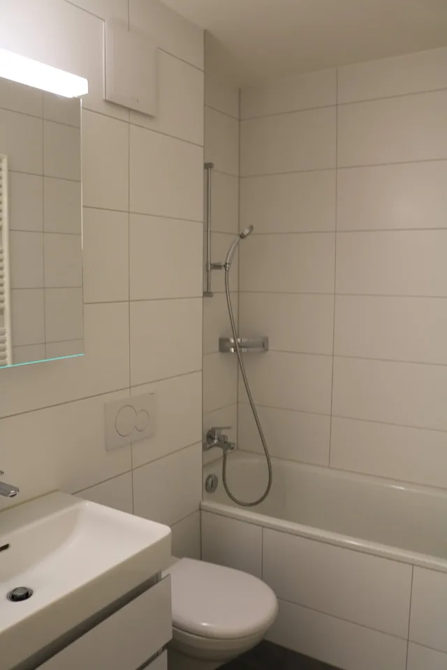 Schöne, renovierte 3 1/2-Zimmerwohnung zu vermieten!