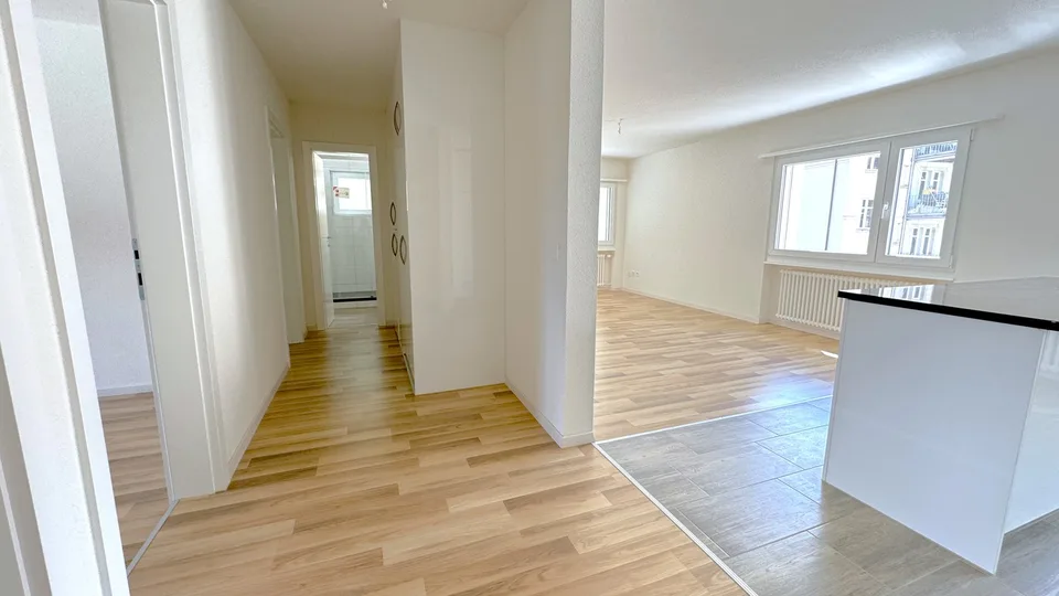 Appartement de 4,5 pièces rénové récemment, dernière occasion !