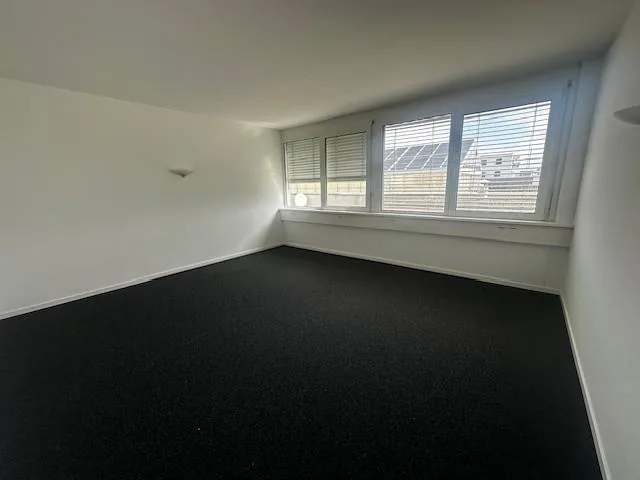 Commercial property in Allschwil