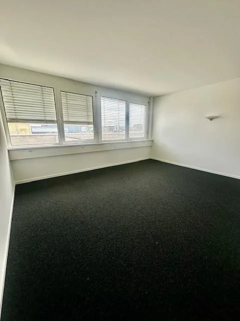Commercial property in Allschwil