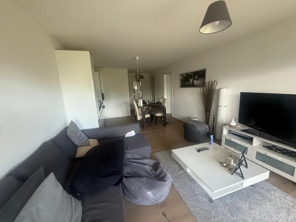 Meraviglioso appartamento con terrazza e vista sul lago