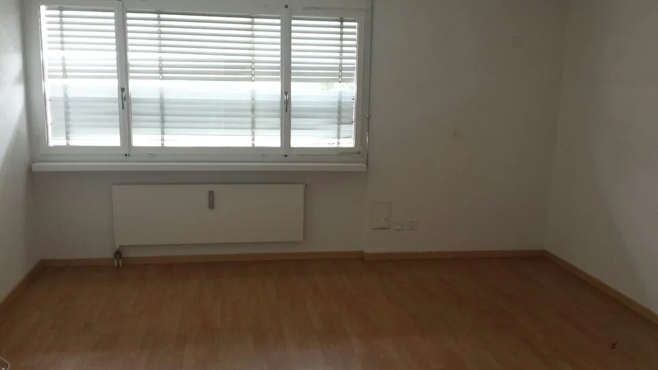 Cozy 1.5 room apartment with large balcony
