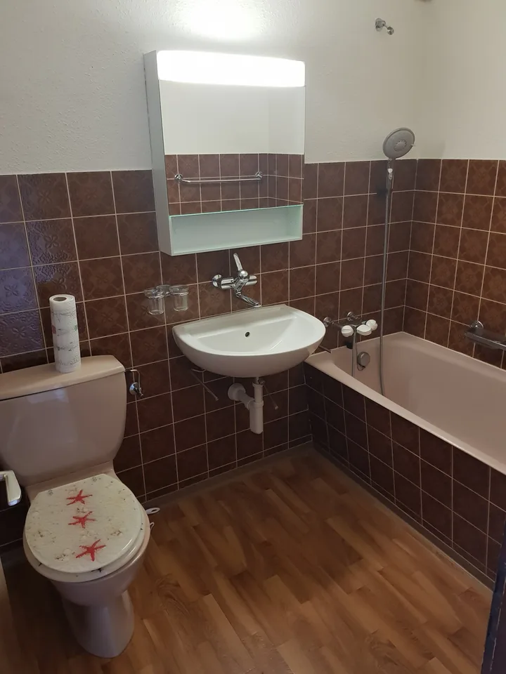 Cozy 1.5 room apartment with large balcony