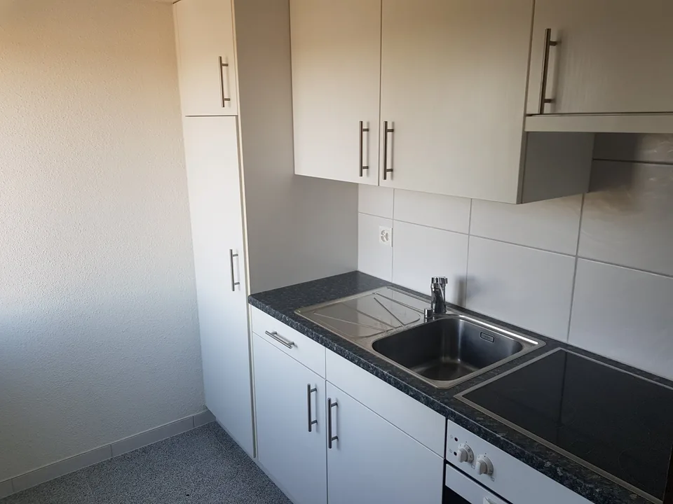 Cozy 1.5 room apartment with large balcony