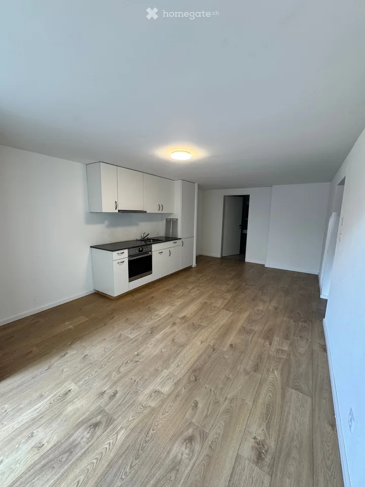 Cozy 2.5-room apartment in quiet Schlierbach