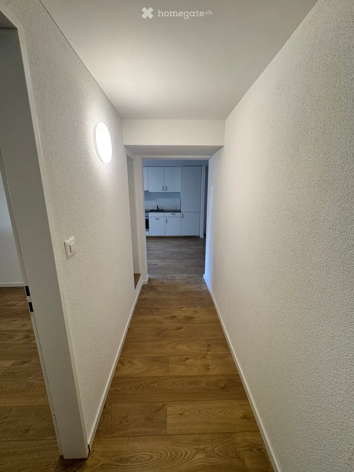 Cozy 2.5-room apartment in quiet Schlierbach