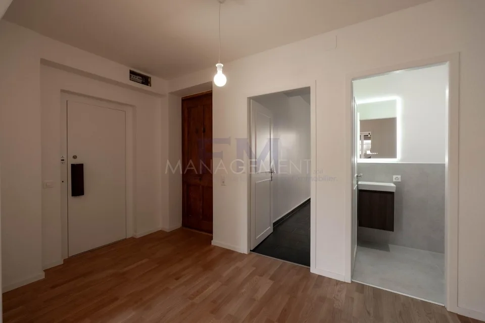 Plainpalais, Rue Henri-Christine, 4 Zimmer im 3. Stock, ca. 100 m2