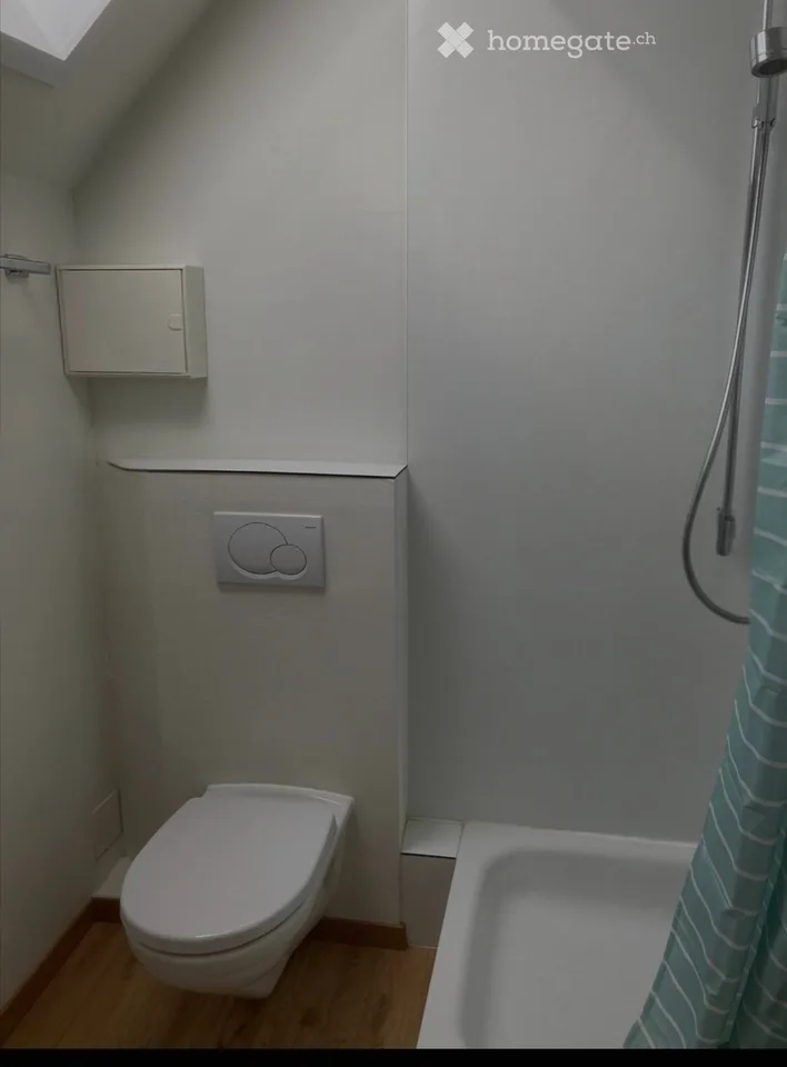 Möbliertes Studio sucht Nachmieter
