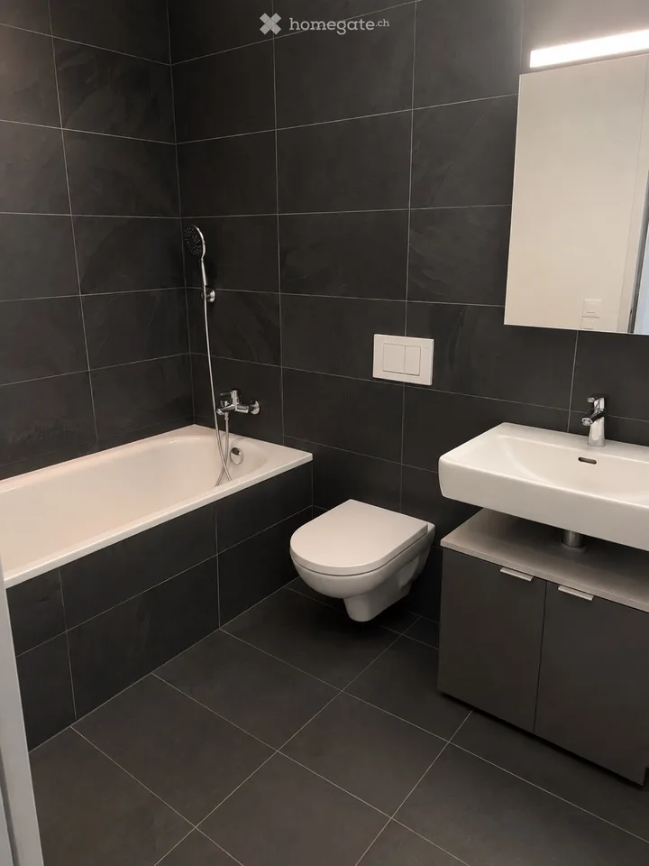Moderne 4.5-Zimmer-Attikawohnung  Nachmieter gesucht