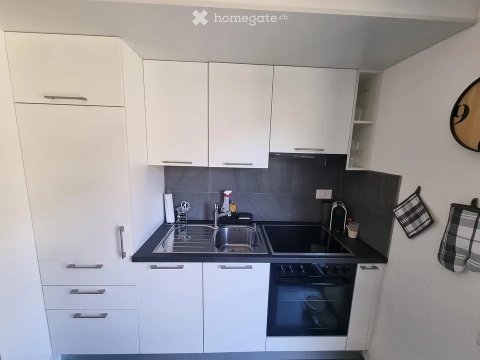 Appartement lumineux 2.5 pièces avec jardin privé à Arbedo