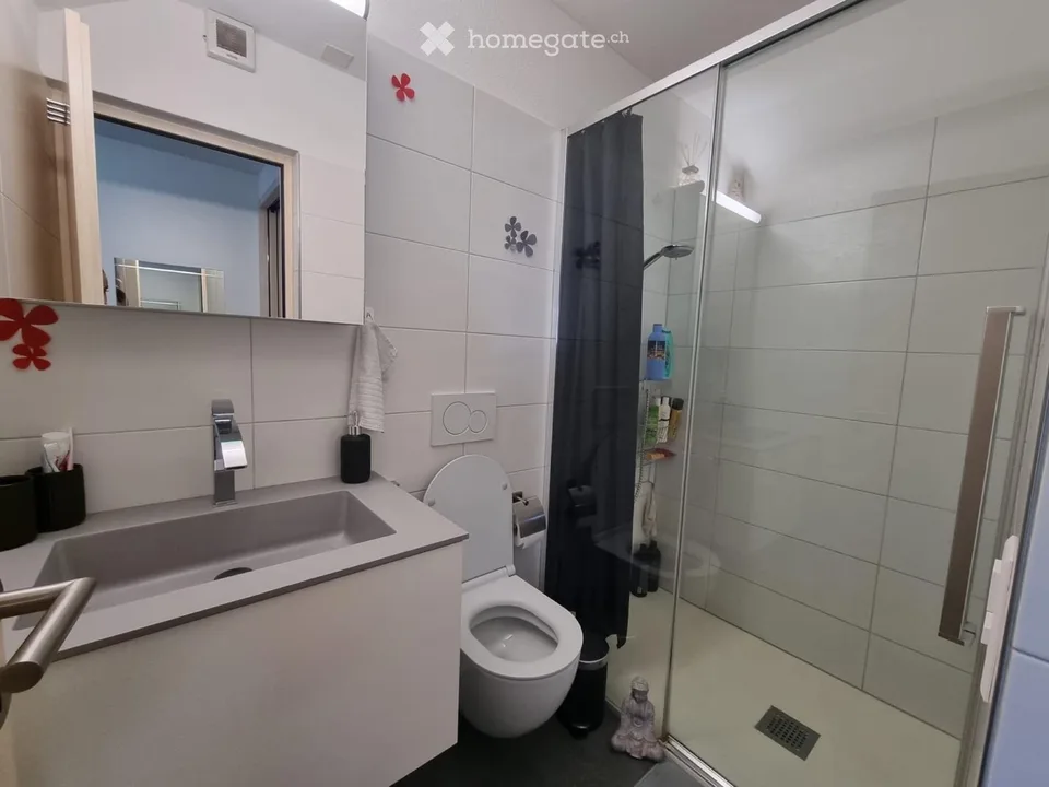 Appartement lumineux 2.5 pièces avec jardin privé à Arbedo