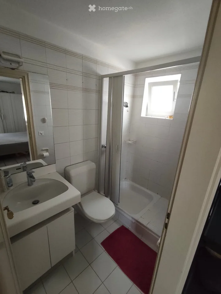 I'm looking for a sublessee for 1.5 rooms in Minusio