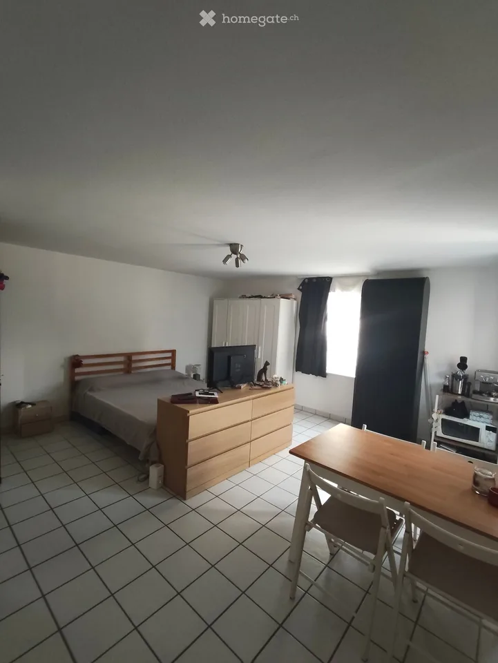 I'm looking for a sublessee for 1.5 rooms in Minusio