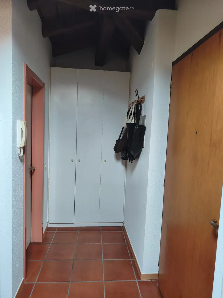 Cerco subentrante dal 1 novembre