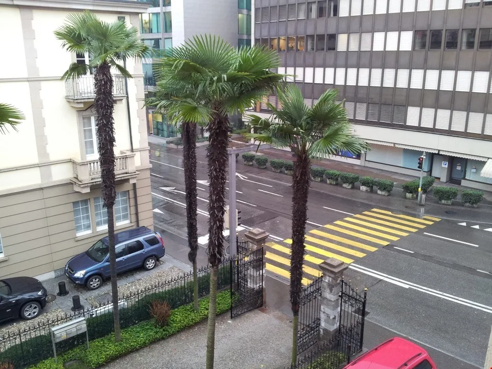 Appartamento nuovo in viale Giuseppe Cattori 10, Lugano