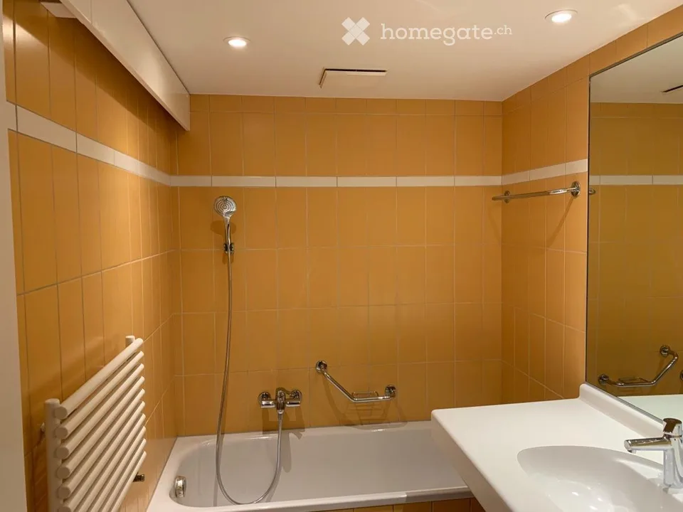 Magnifique duplex 120 m² (3 chambres, 2 salles de bains)